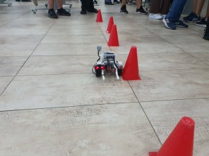 286203163_727287338544822_1910438902974326028_n.jpg